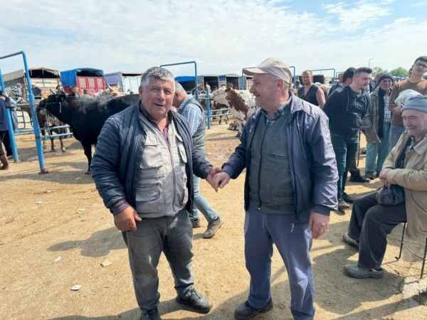 Kurban hareketliliği başladı: Hayvan pazarlarında yoğunluk