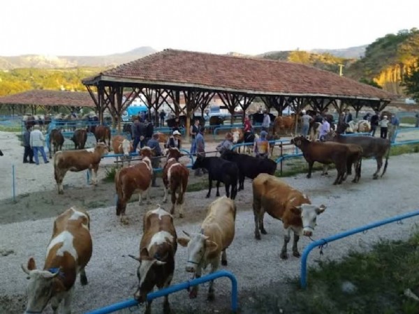 O ilçede hastalık alarmı! Karantina başlatıldı