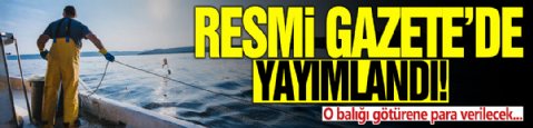 Resmi Gazete’de yayımlandı: O balığı götürene para verilecek!
