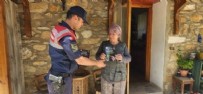 Aydın’da bu çiçeği koparmanın bedeli ağır: 557 bin TL ceza
