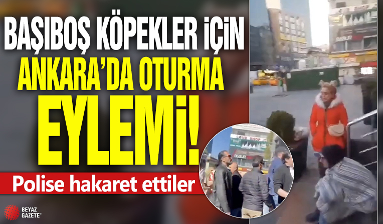 Başıboş köpekler için Ankara'da oturma eylemi! Polise hakaret ettiler