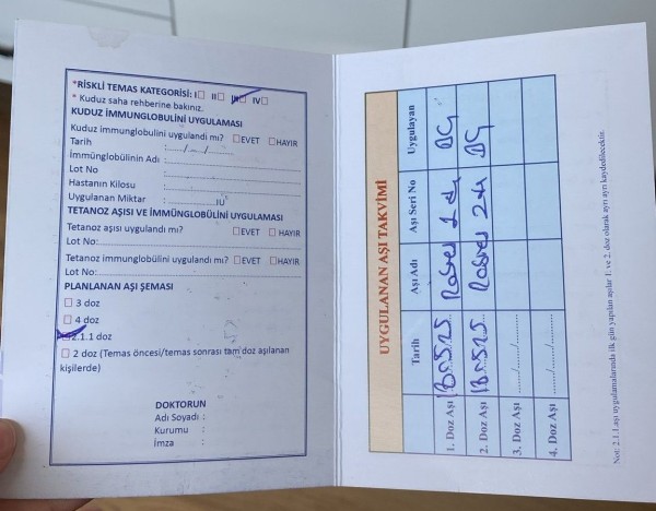 İstanbul Yıldız Teknik Üniversitesi kampüsünde öğrenciye başıboş köpekler saldırdı