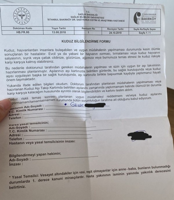 İstanbul Yıldız Teknik Üniversitesi kampüsünde öğrenciye başıboş köpekler saldırdı