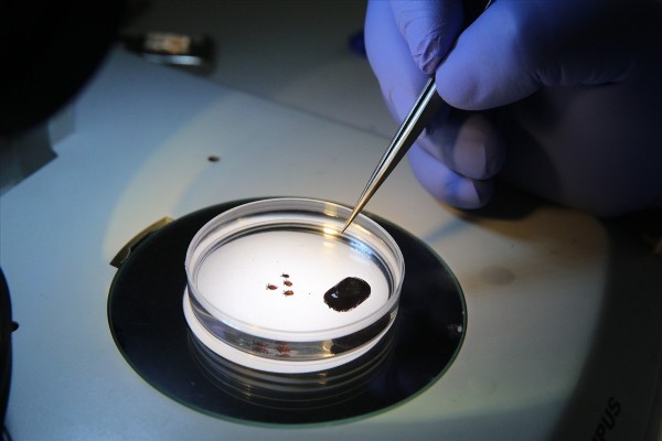 Kene kabusu geri döndü! 5 kişi hayatını kaybetti