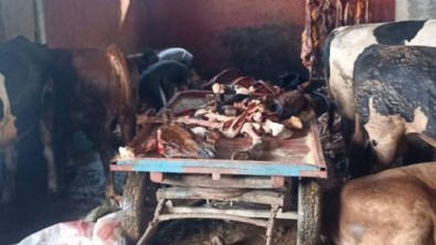 Adana'da 2,5 ton at eti ele geçirildi, 4 at kesilmekten son anda kurtarıldı