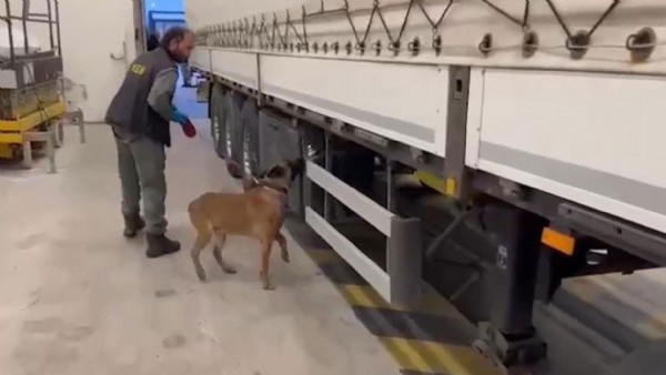 Kapıkule’de tarihi eser operasyonunda 12 bin 770 parça ele geçirildi