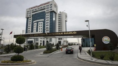 Hem petekli, hem süzme… 9 bal markası ifşa oldu