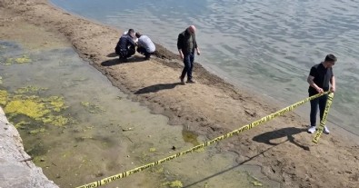 İznik Gölü'nde şaşırtan görüntü: 3 gün arayla ikincisi bulundu!