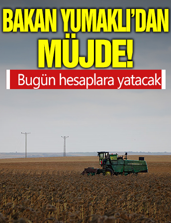 Bakan Yumaklı'dan çiftçilere müjde! Destek ödemeleri bugün hesaplara yatacak