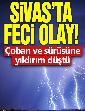 Sivas'ta feci olay! Çoban ve sürüsüne yıldırım düştü