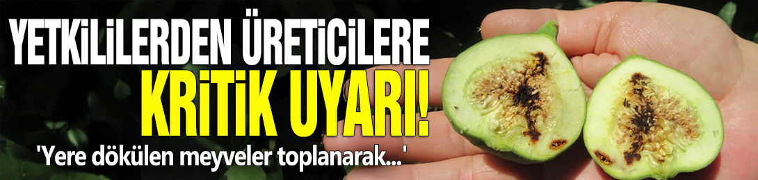 Yetkililerden üreticilere kritik uyarı! 'Yere dökülen meyveler toplanarak...'