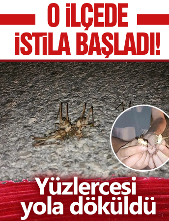 O ilçede istila başladı! Yüzlercesi yola döküldü