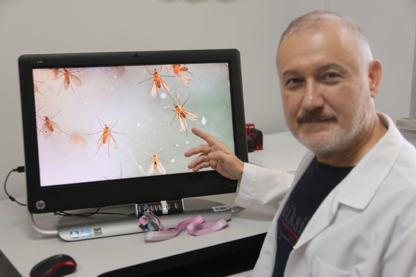Yaraya benziyor ama öldürebiliyor! Sinsi tehlike o illerde görülüyor
