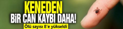 Keneden bir can kaybı daha! Ölü sayısı 8'e yükseldi