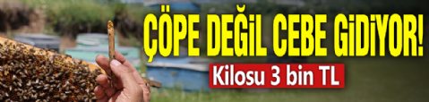 Çöpe değil cebe gidiyor: Kilosu 3 bin TL