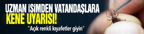 Uzman isimden vatandaşlara kene uyarısı! 'Açık renkli kıyafetler giyin'