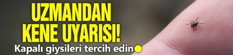 Uzmanından kene uyarısı! Kapalı giysileri tercih edin!