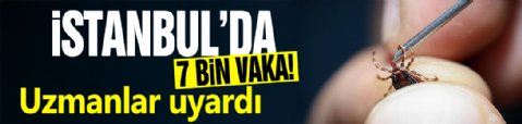 İstanbul'da 7 bin vaka! Uzmanlar uyardı