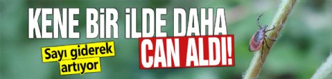 Kene bir ilde daha can aldı! Sayı giderek artıyor