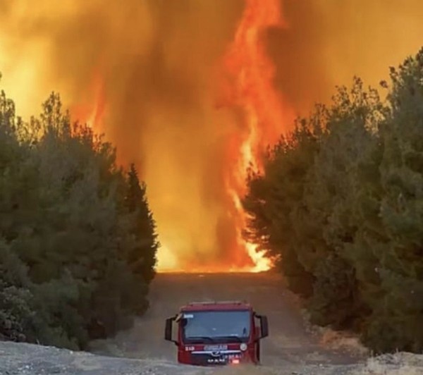 İzmir'deki orman yangını kontrol altına alındı mı?