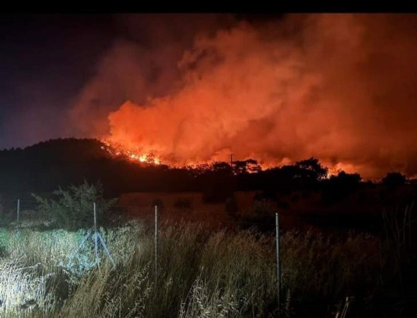 İzmir'deki orman yangını kontrol altına alındı mı?