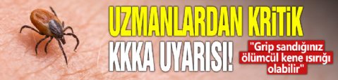 Uzmanlardan kritik KKKA uyarısı! 'Grip sandığınız ölümcül kene ısırığı olabilir'