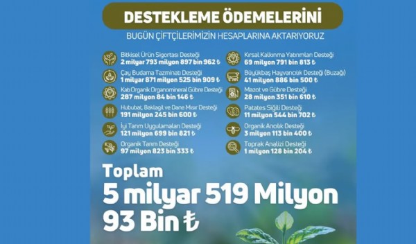 Bakan Duyurdu! Ödemeler bugün hesaplara yatacak