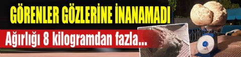 ‘Hayatımda ilk defa gördüm' dedi: Görenler gözlerine inanamadı