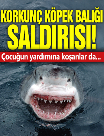 Korkunç köpek balığı saldırısı! Çocuğun yardımına koşanlar da...