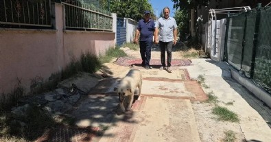 Bu ilçede yollar çamurdan geçilmiyor! Vatandaşlar CHP'li belediyeye isyan etti