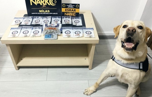 Muğla'da 17 uyuşturucu operasyonunda 5 tutuklama