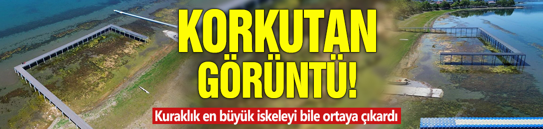 Korkutan görüntü! Kuraklık en büyük iskeleyi bile ortaya çıkardı