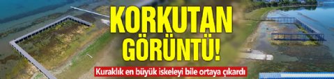 Korkutan görüntü! Kuraklık en büyük iskeleyi bile ortaya çıkardı