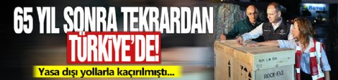 65 yıl sonra tekrardan Türkiye'de! Yasa dışı yollarla kaçırılmıştı...