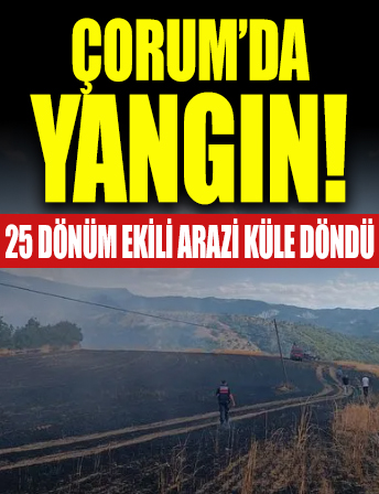 25 dönüm ekili arazi küle döndü