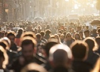 MUHAMMED ÇINIK - Son Seçim Anketi Açıklandı: Bugün Seçim Olsa Hangi Parti Önde?