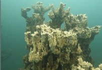 Van Gölü'ndeki en büyüğü! Her biri 70-80 metre