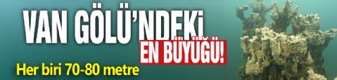Van Gölü'ndeki en büyüğü! Her biri 70-80 metre