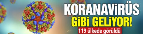 Koronavirüs gibi geliyor! 119 ülkede görüldü