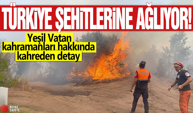 Türkiye şehitlerine ağlıyor! Yeşil Vatan kahramanları hakkında kahreden detay