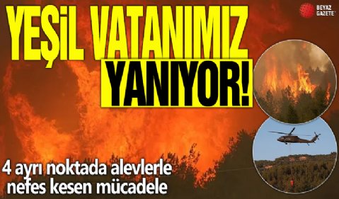 eşil Vatanımız yanıyor! 4 ayrı noktada alevlerle nefes kesen mücadele
