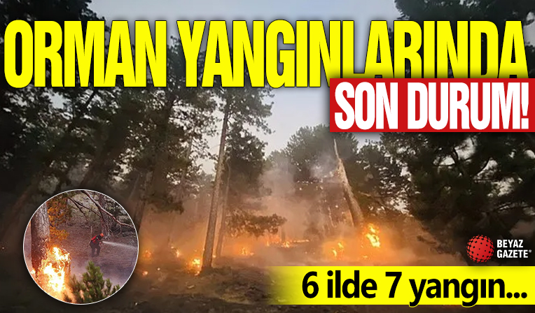Orman yangınlarında son durum! 6 ilde 7 yangın...
