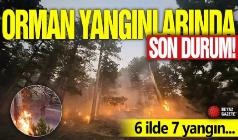 Orman yangınlarında son durum! 6 ilde 7 yangın...