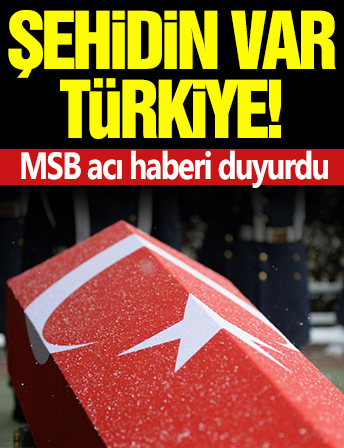 Şehidin var Türkiye! MSB acı haberi duyurdu