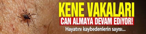 Kene vakaları can almaya devam ediyor! Hayatını kaybedenlerin sayısı...