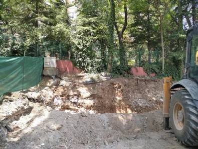CHP'den sistematik ağaç katliamı! 'Gece beton döküldü'