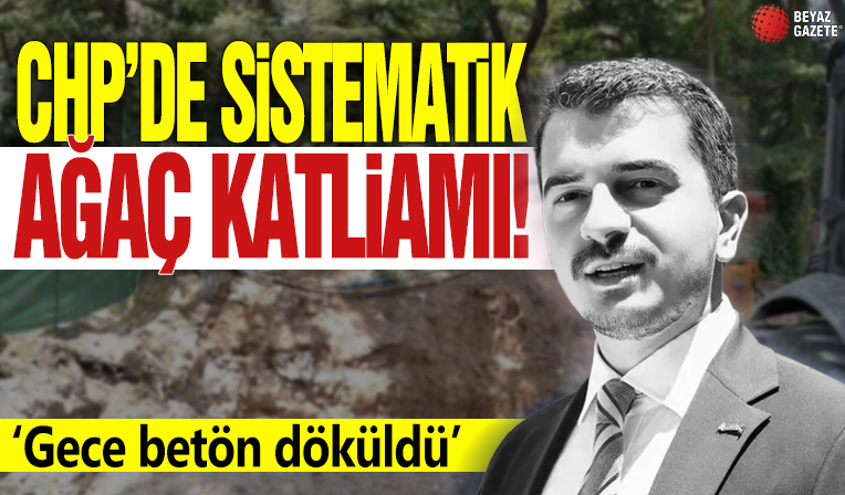 CHP'den sistematik ağaç katliamı! 'Gece beton döküldü'