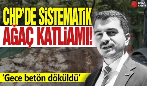 CHP'den sistematik ağaç katliamı! 'Gece beton döküldü'