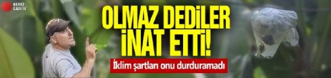 'Rize'de olmaz' dediler! İklim şartlaır onu durdurmadı