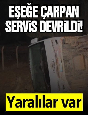 Eşeğe çarpan servis devrildi! Yaralılar var